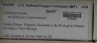 Image Associated With the Occurence
